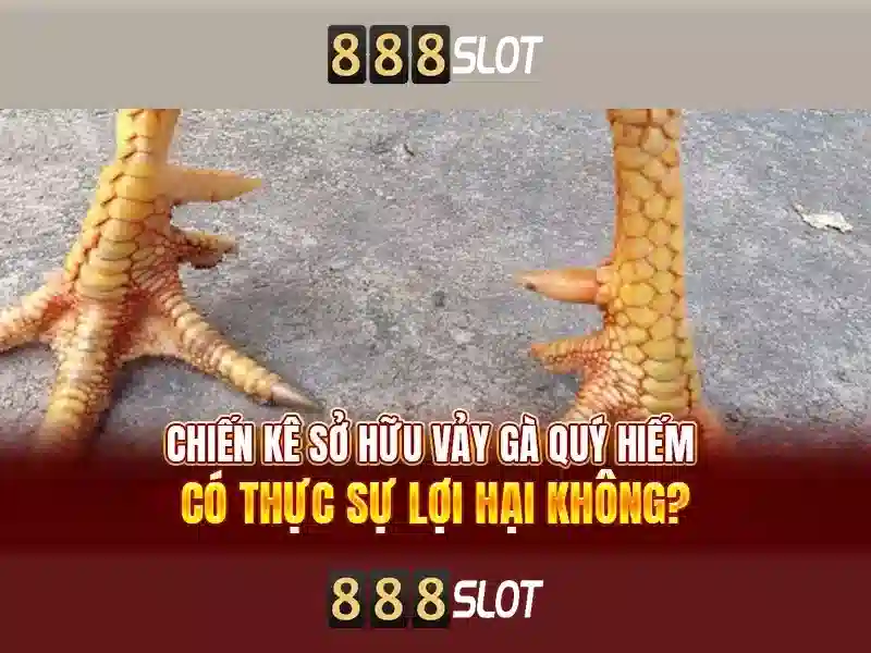Trải nghiệm slot game 888slot