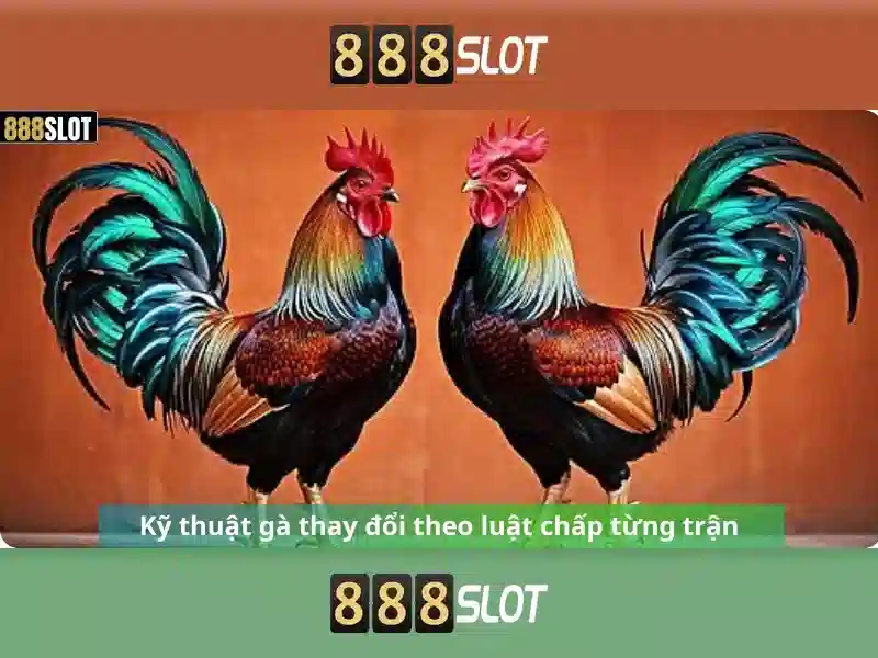 Trải nghiệm cá cược Slot