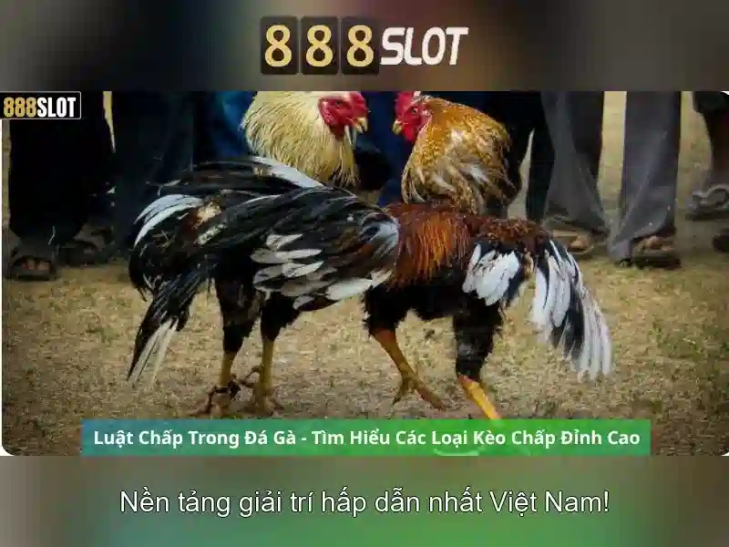 Tải App 888Slot